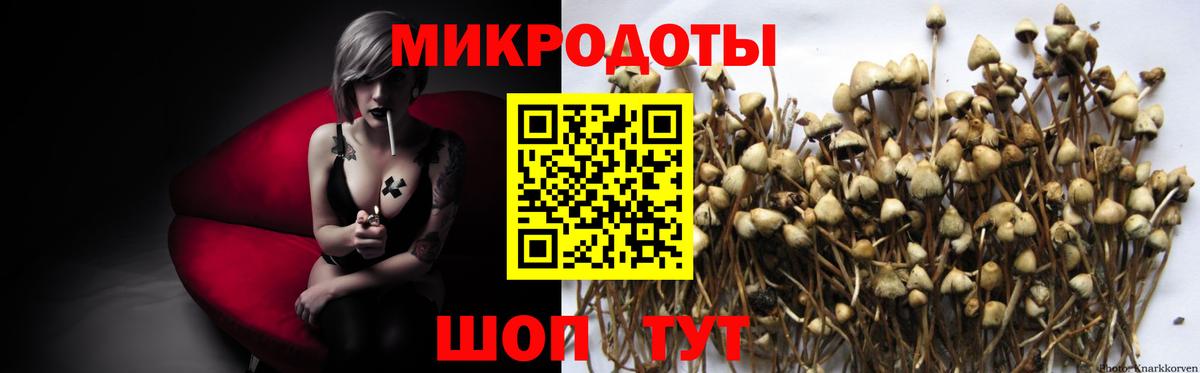 Галлюциногенные грибы мицелий  как найти наркотики  Уссурийск  Псилоцибиновые грибы Cubensis  Вход с VPN 